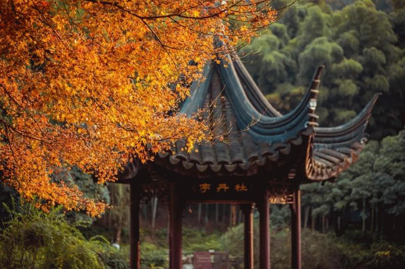 昆山地标最新消息,昆山正在建设的新项目