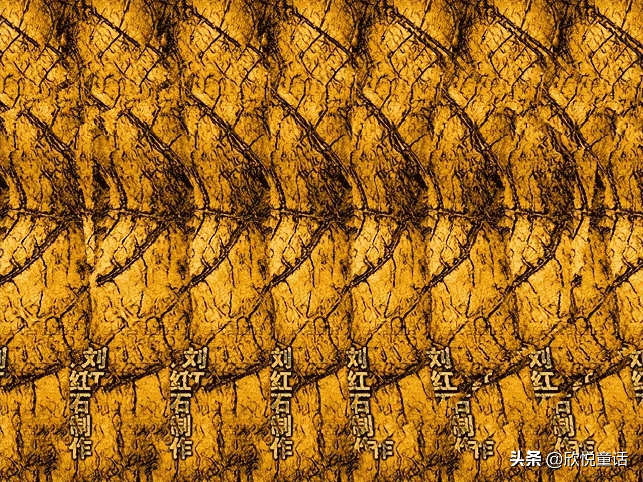 斑点狗正面照,斑点狗的真实资料