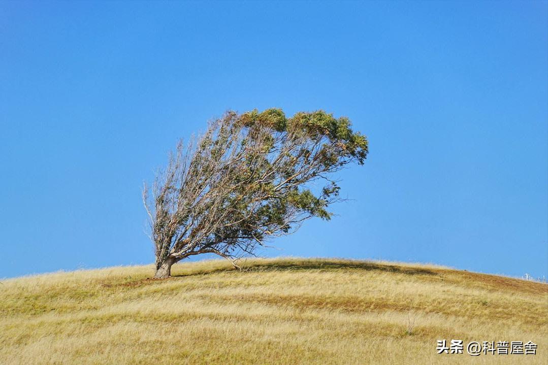 导弹形状,导弹的弹身主要有几种不同结构