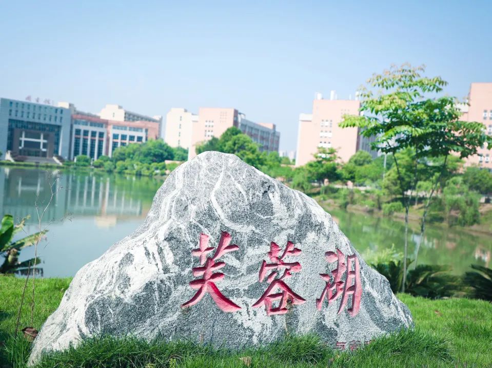 中南林业科技大学涉外学院招生线,中南林业大学涉外学院是公办吗