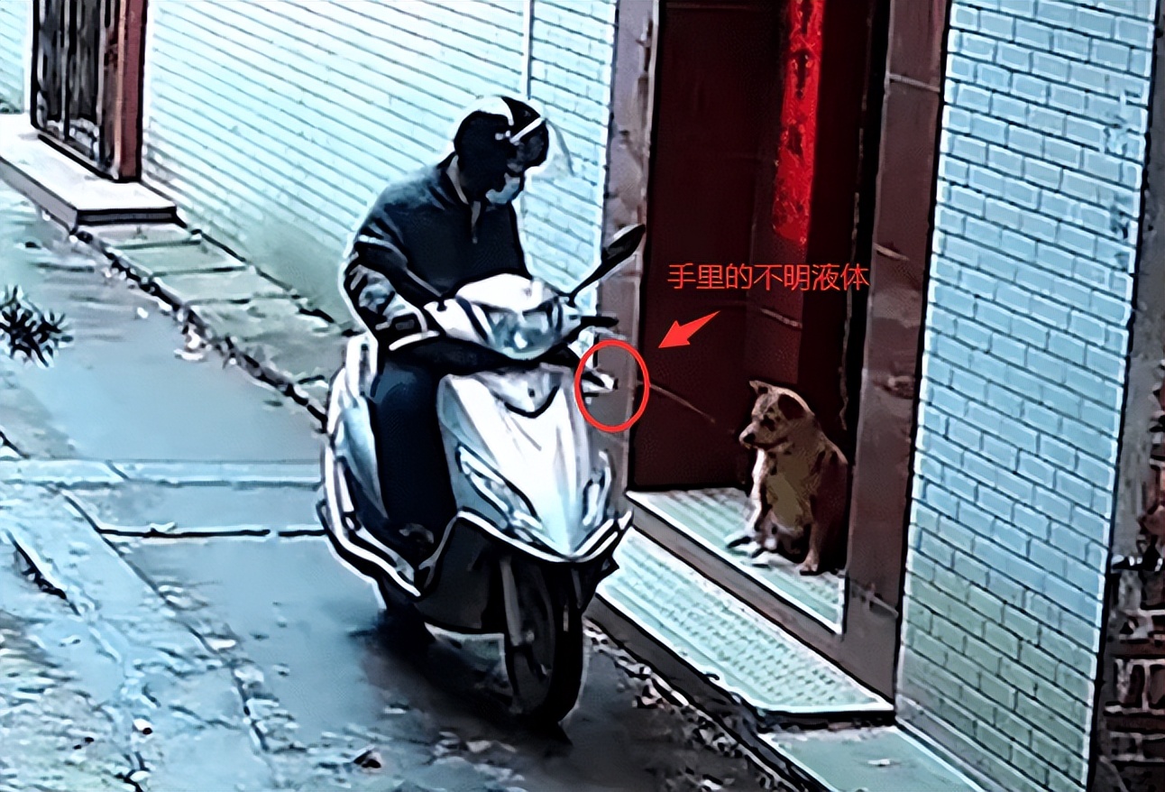 偷狗贼用的毒针很厉害吗,偷狗贼用的什么毒针