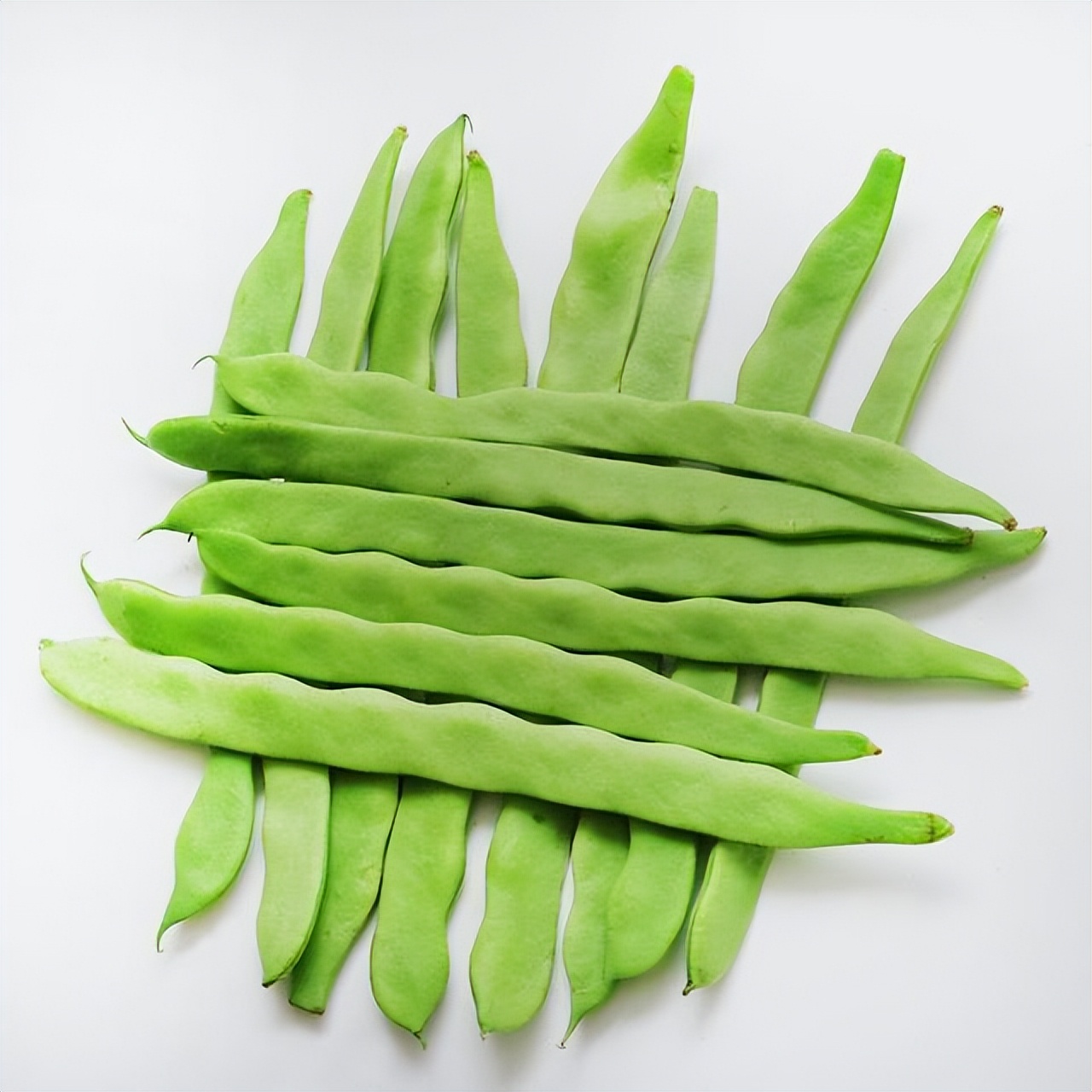 菠菜生菜西红柿哪一种是蔬菜之王,西红柿和哪些蔬菜不能吃