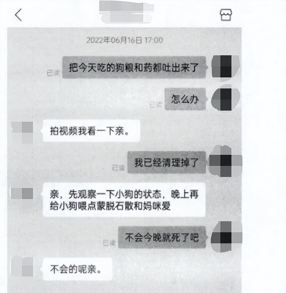 网购爱宠竟为“重病狗”，商家需不需要承担医疗费？