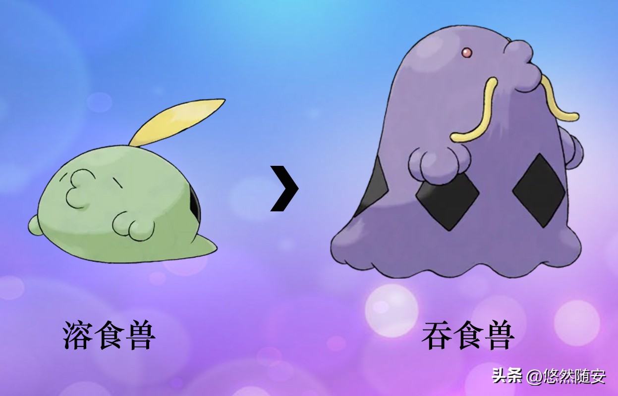 宝可梦进化形态,神奇宝可梦伊布进化形态