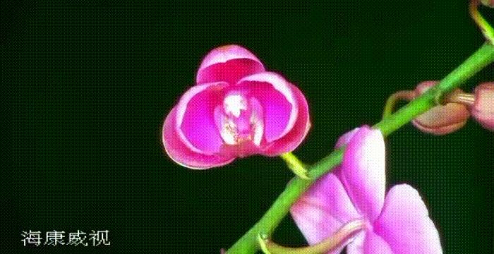 海康威视摄像头守护功能,海康威视在北京什么地方