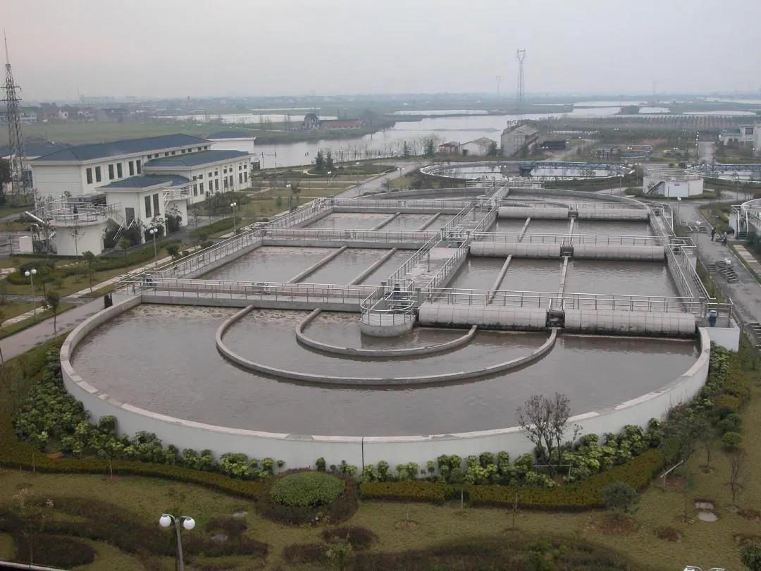 我国拉的大便去哪了？大便中的吲哚浓度越高越臭，或稀释后有香味