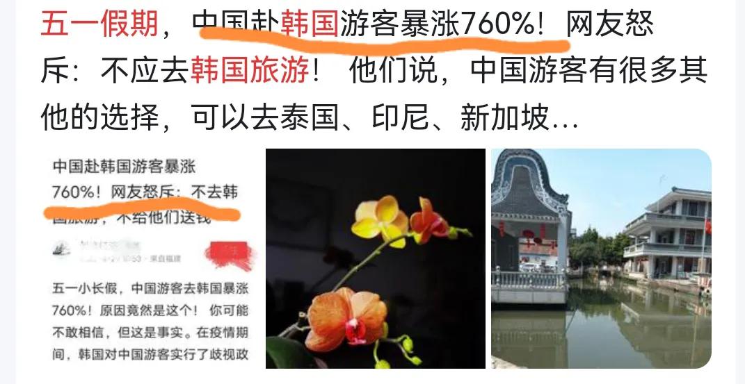 今年五一去韩国旅游多不多,五一中国人去韩国旅游多吗