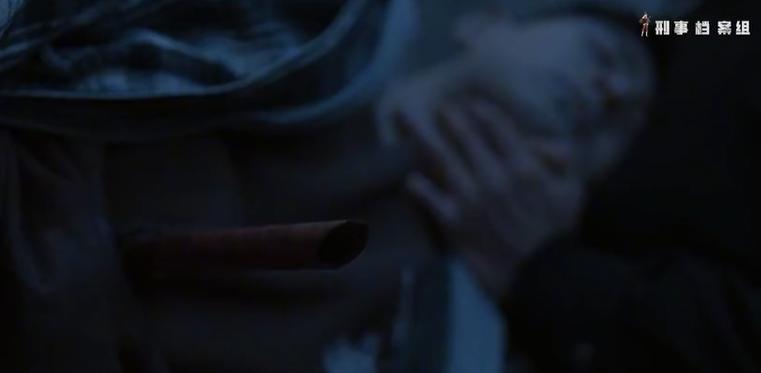 刑侦剧青少年被杀,刑侦剧父子被害