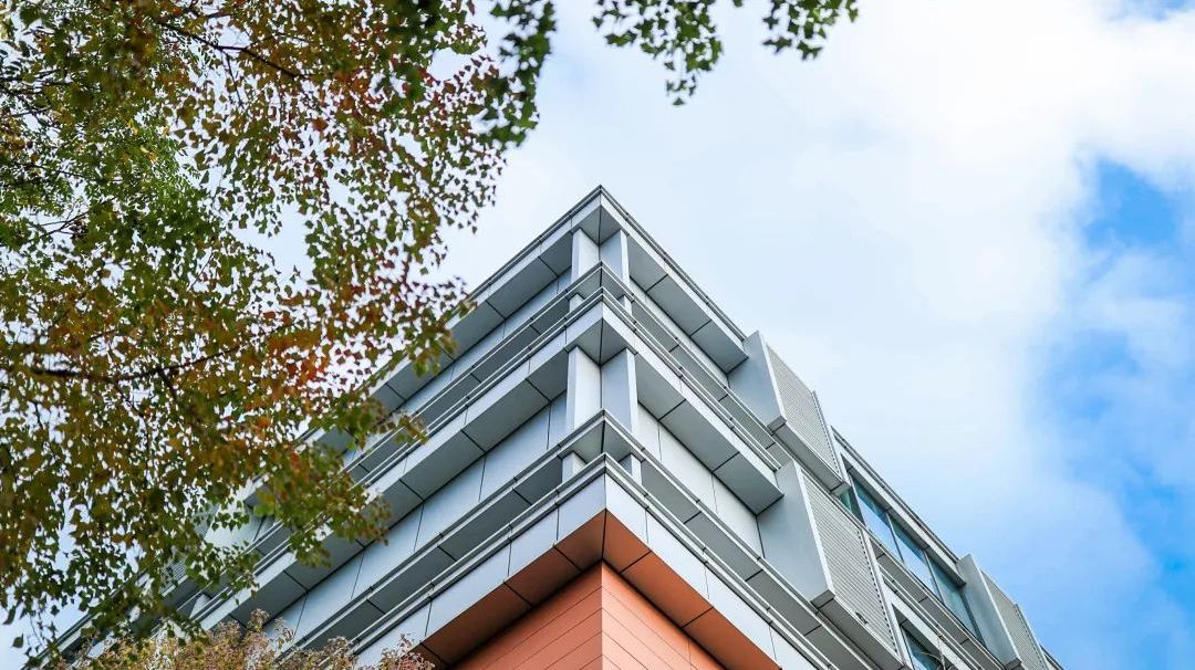 平和双语国际学校好不好,平和vs世外