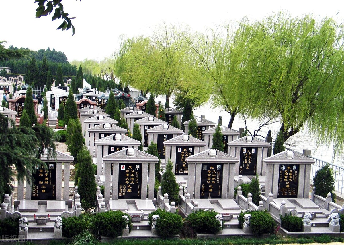 传统文化与社会现实,传统文化与现代化的矛盾