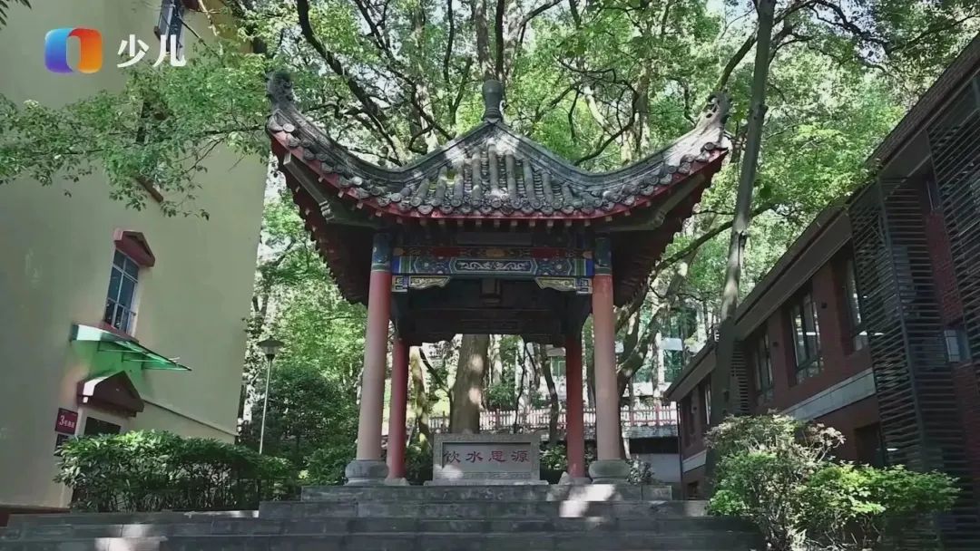 重庆第二外国语学校80周年校庆,我爱我校片段