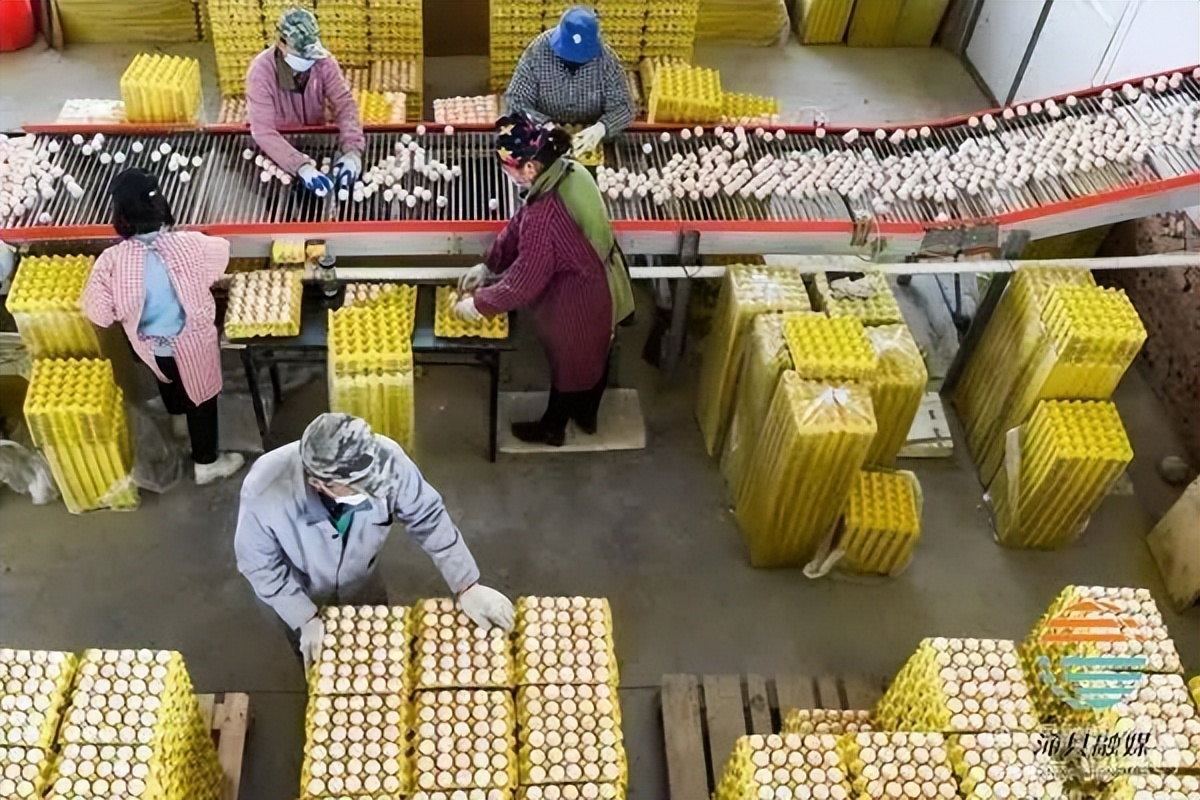 沁县绘就乡村振兴好“丰”景