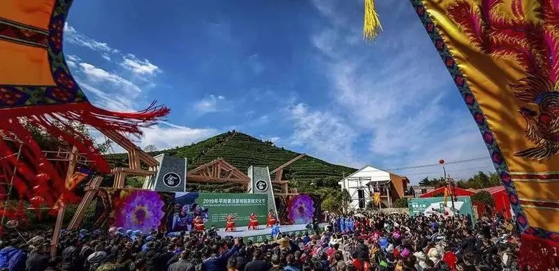 平阳黄汤和温州黄汤的区别,平阳黄汤茶