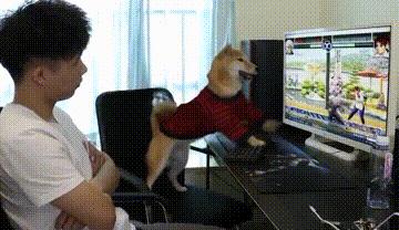 穿泳衣还可以穿内衣吗,穿泳衣和穿内衣有什么不同