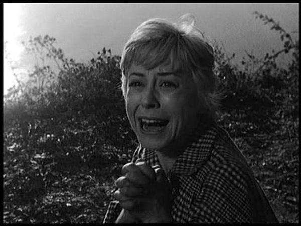 《起重机唱支歌》:意大利新现实主义电影中的经典之作