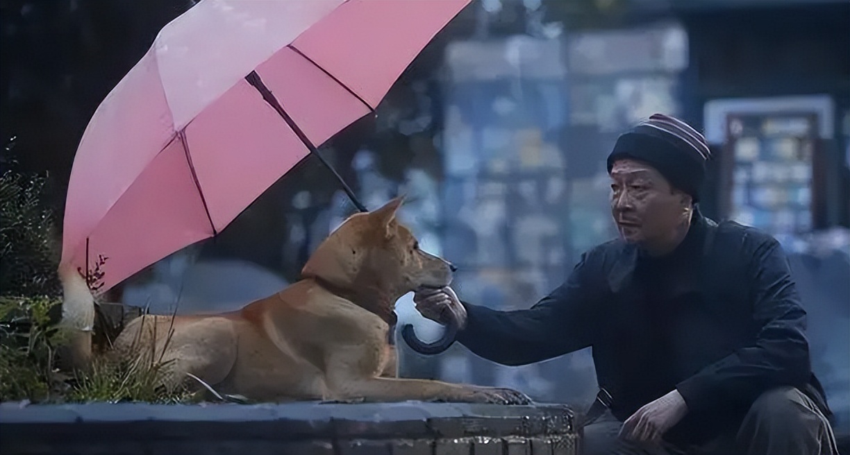 忠犬八公感人,忠犬八公最后30分钟感人片段