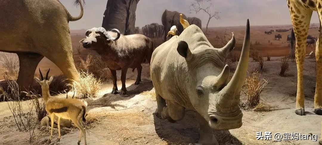 上海科技馆游玩全攻略,上海科技馆儿童馆攻略