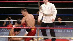 中国四位顶级职业散打王视频,2000中国散打王十大名将