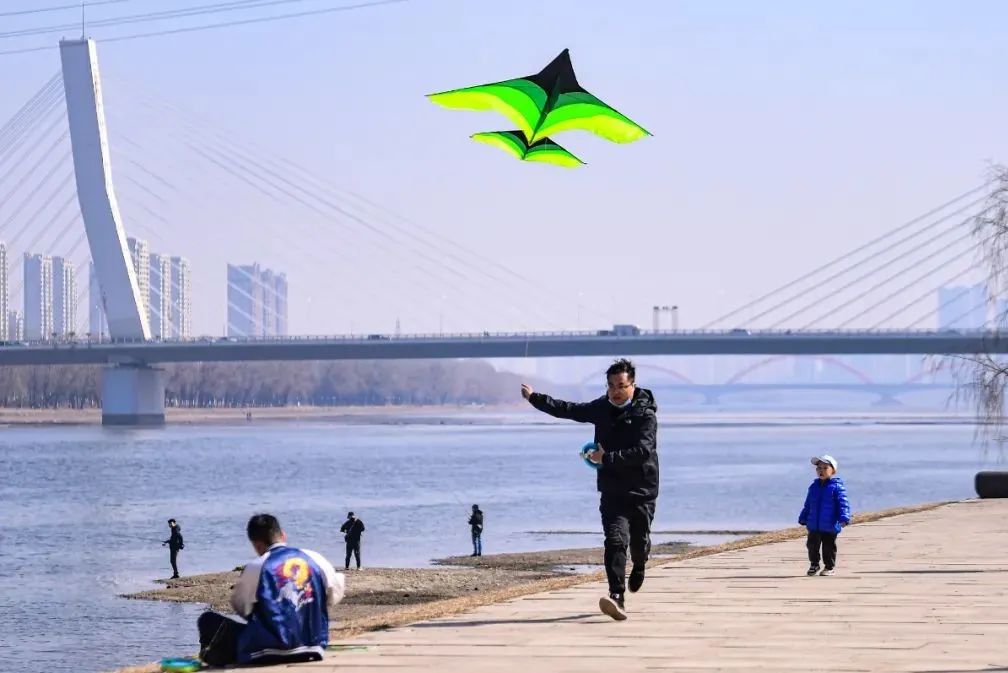 沈阳最近郊游最佳地点,沈阳湿地公园丹顶鹤放飞