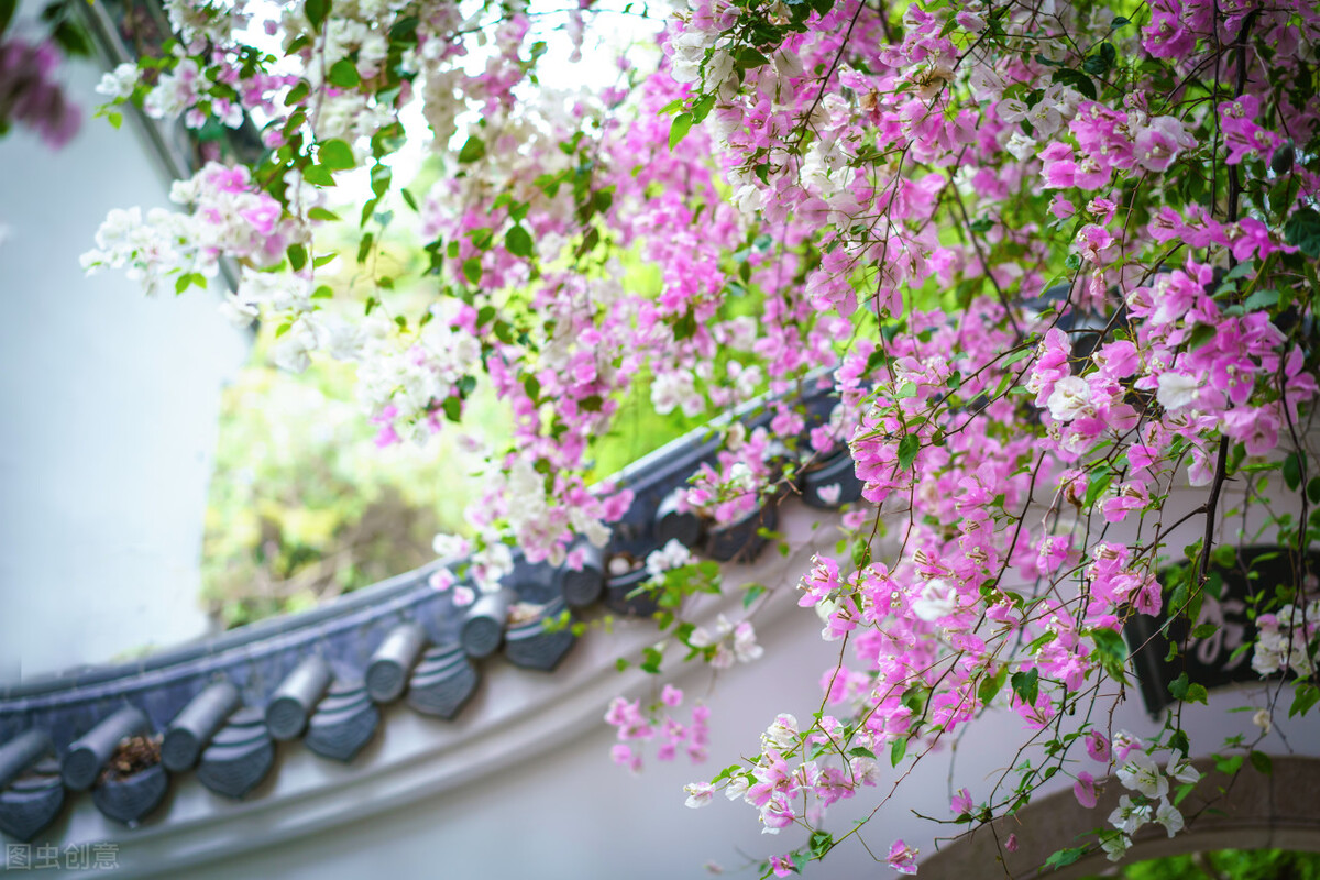 酷狗酷我qq音乐网易云音乐哪个好,qq音乐网易音乐酷狗酷我哪个好