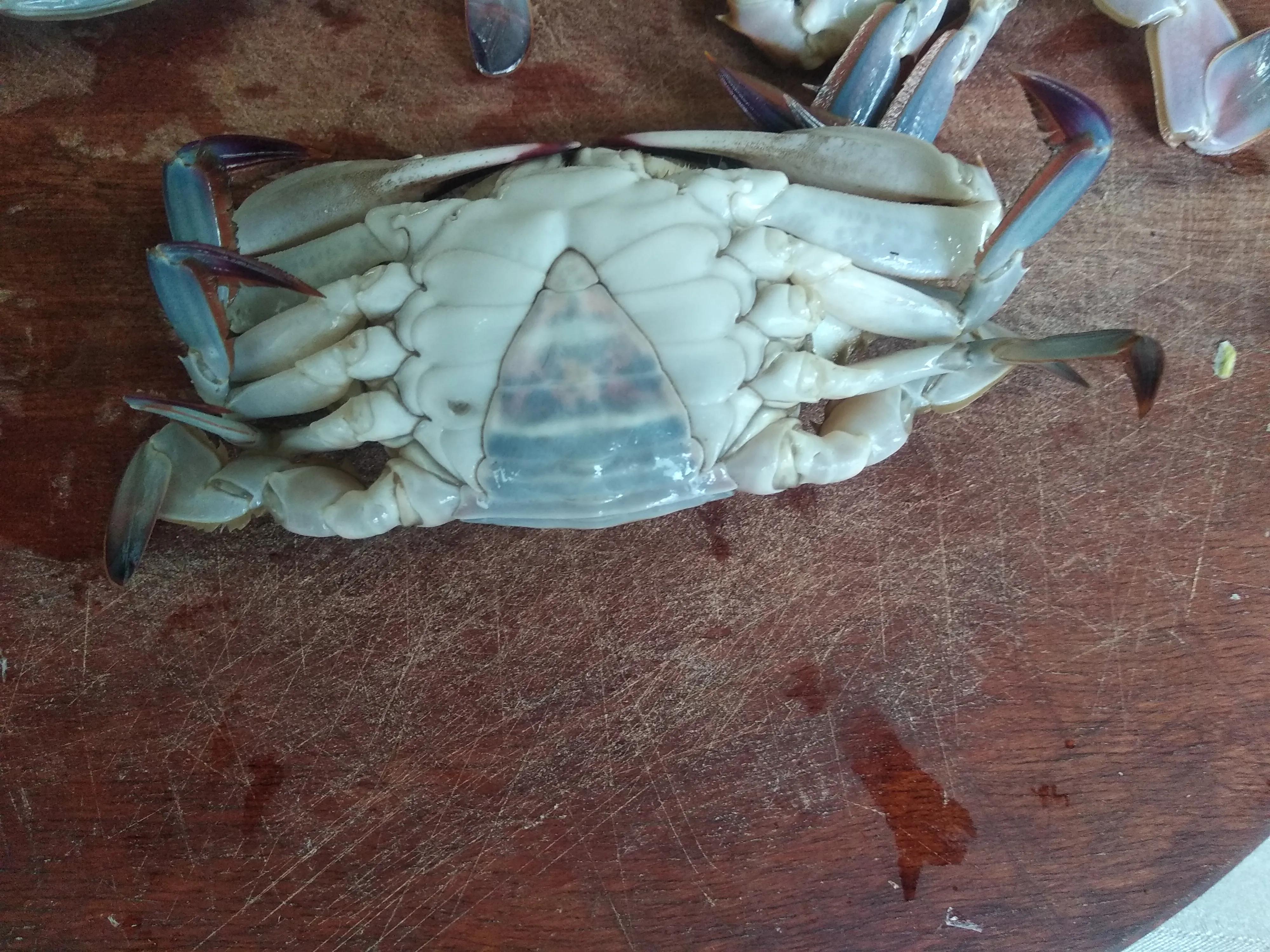 螃蟹死了不能吃，为何超市和海鲜市场还卖？内行：秋天吃蟹要注意