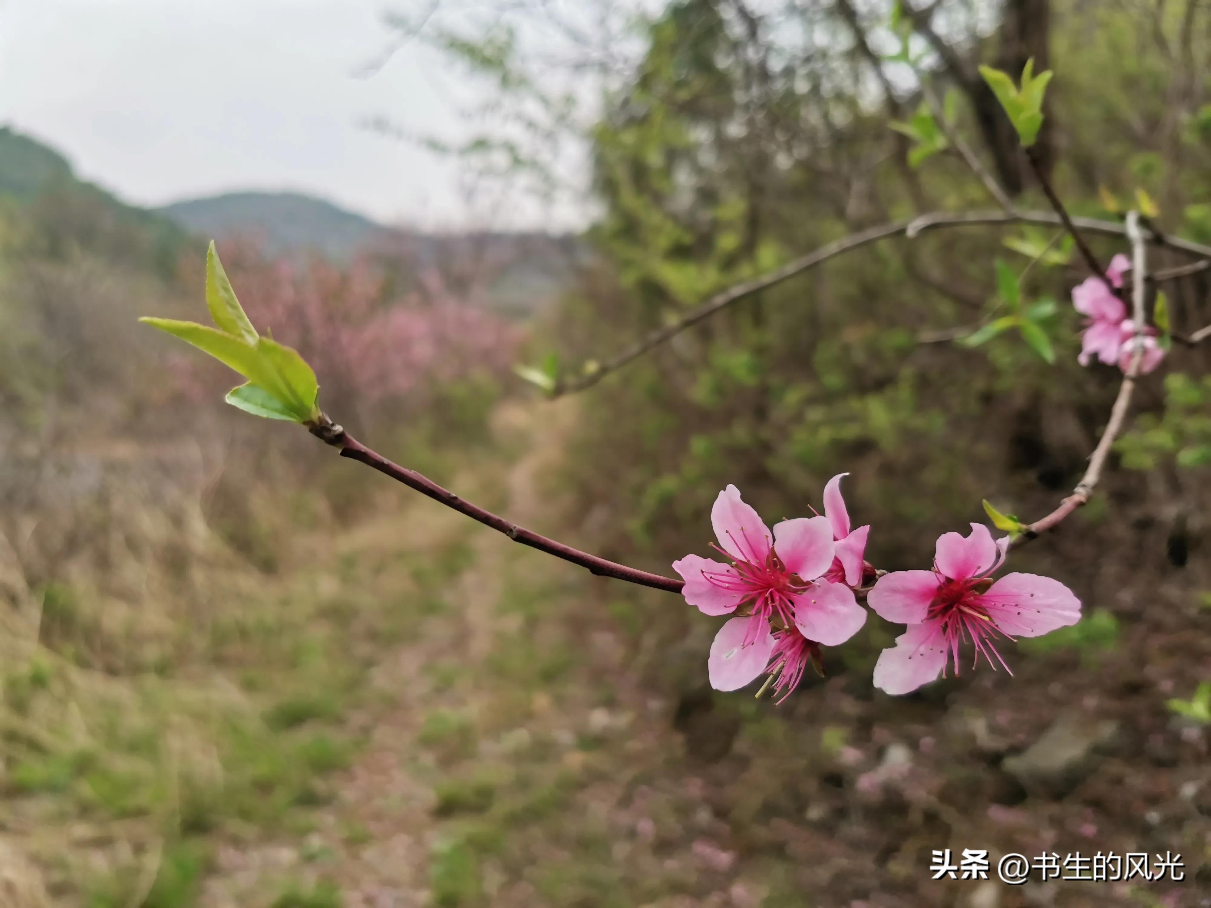 如何让你的手机摄影算法变强,手机拍照体验成像算法