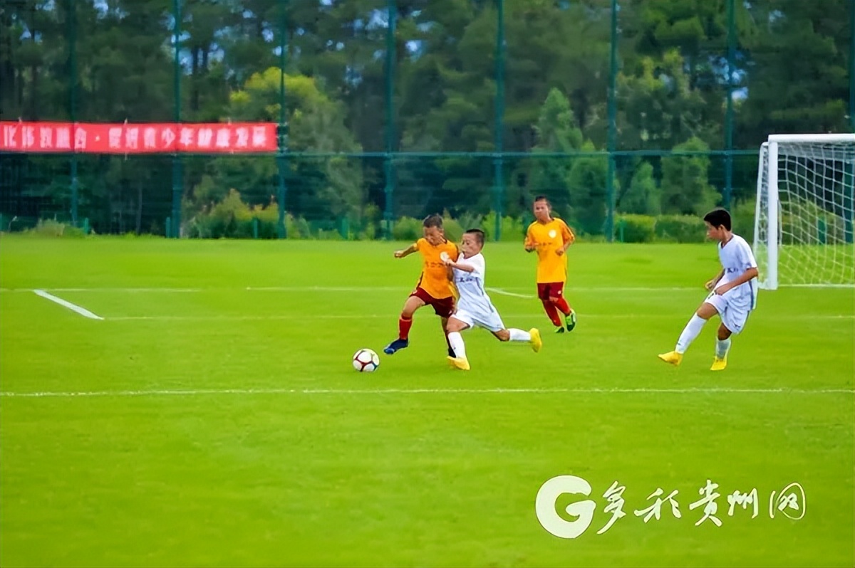 贵州足球最新消息,贵州现在的职业足球队