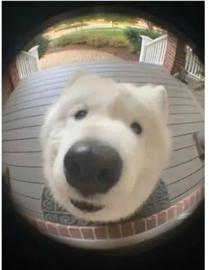 衣服撑不起来是什么样子的,衣服撑不起来的视频