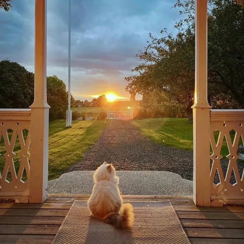 唯有热爱可抵万难背景图,朋友圈背景图爱迎万难