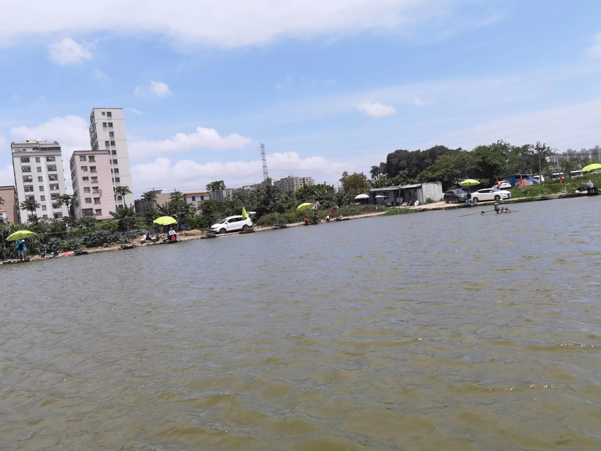 曾大盆快意江湖钓鲤鱼视频,快意江湖曾大盆饵料官方旗舰店