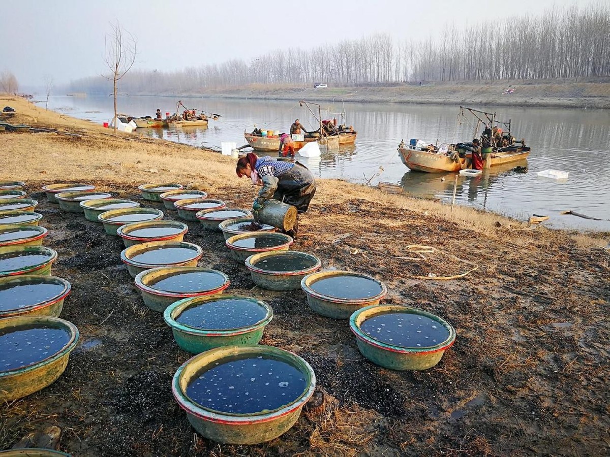 水蚯蚓多少块钱,捕蚯蚓违法吗