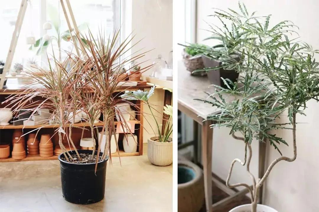 2022年流行横厅装修风格,2022年有哪些装修风格