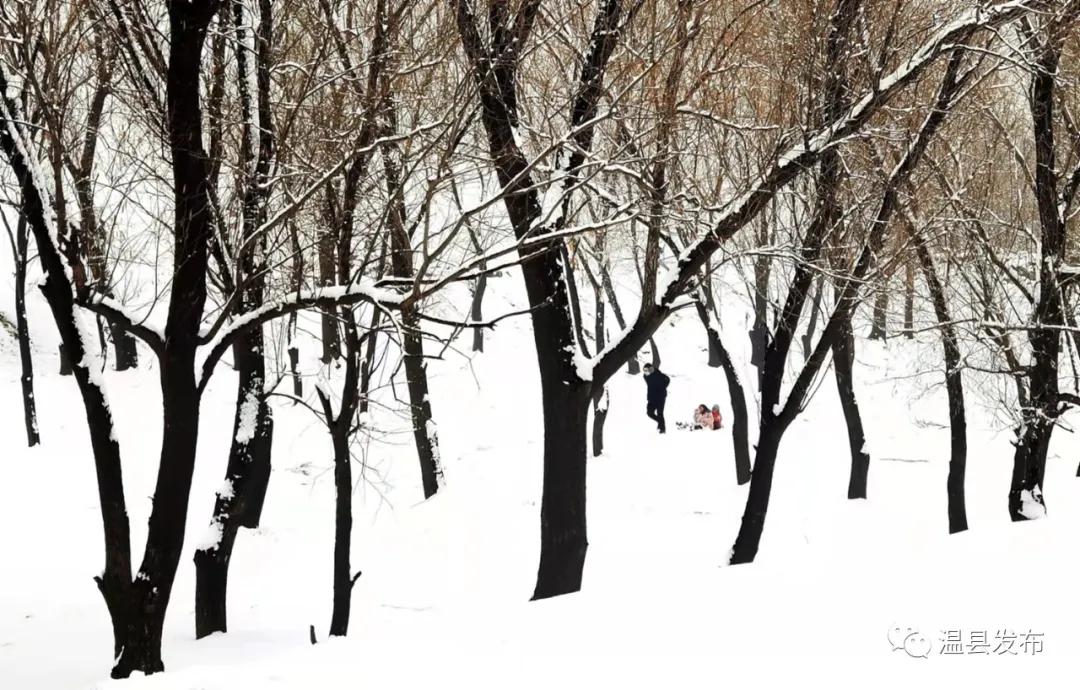 来这里邂逅最美秋韵,焦作温县玩雪