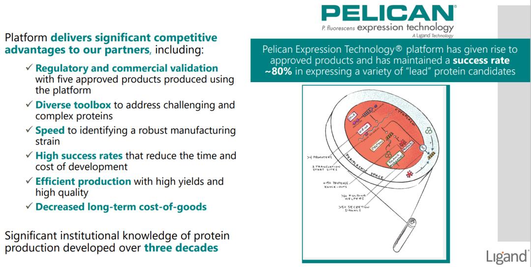 授权开发先驱：稳稳输出的LigandPharmaceuticals