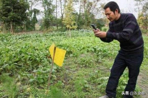 壮大农业产业拓宽致富之路,农村新型农业致富行业