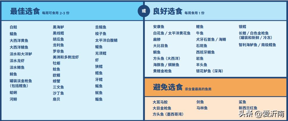 dha不要随便补品质很重要,dha平时忘了吃怎么补回来