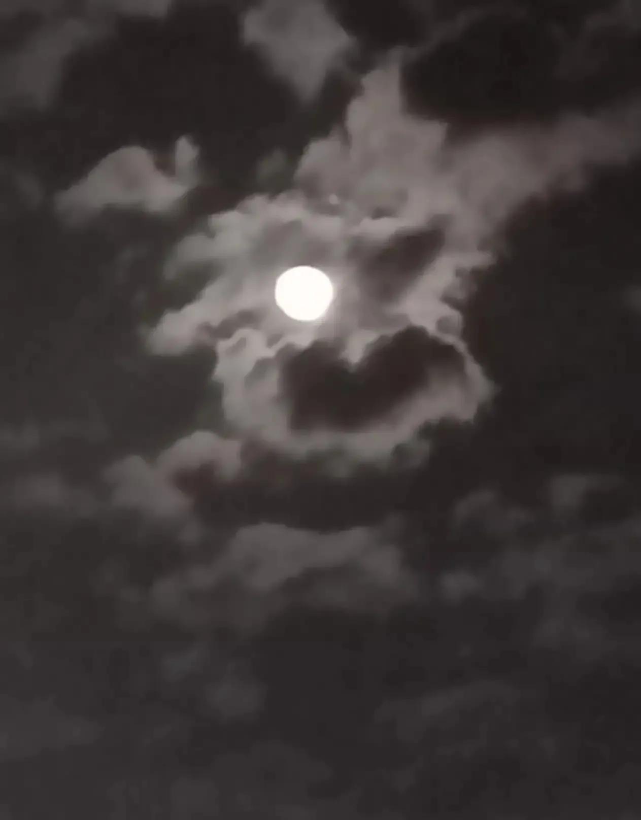 上山下乡五十周年礼赞,知青上山下乡五十周年盛会