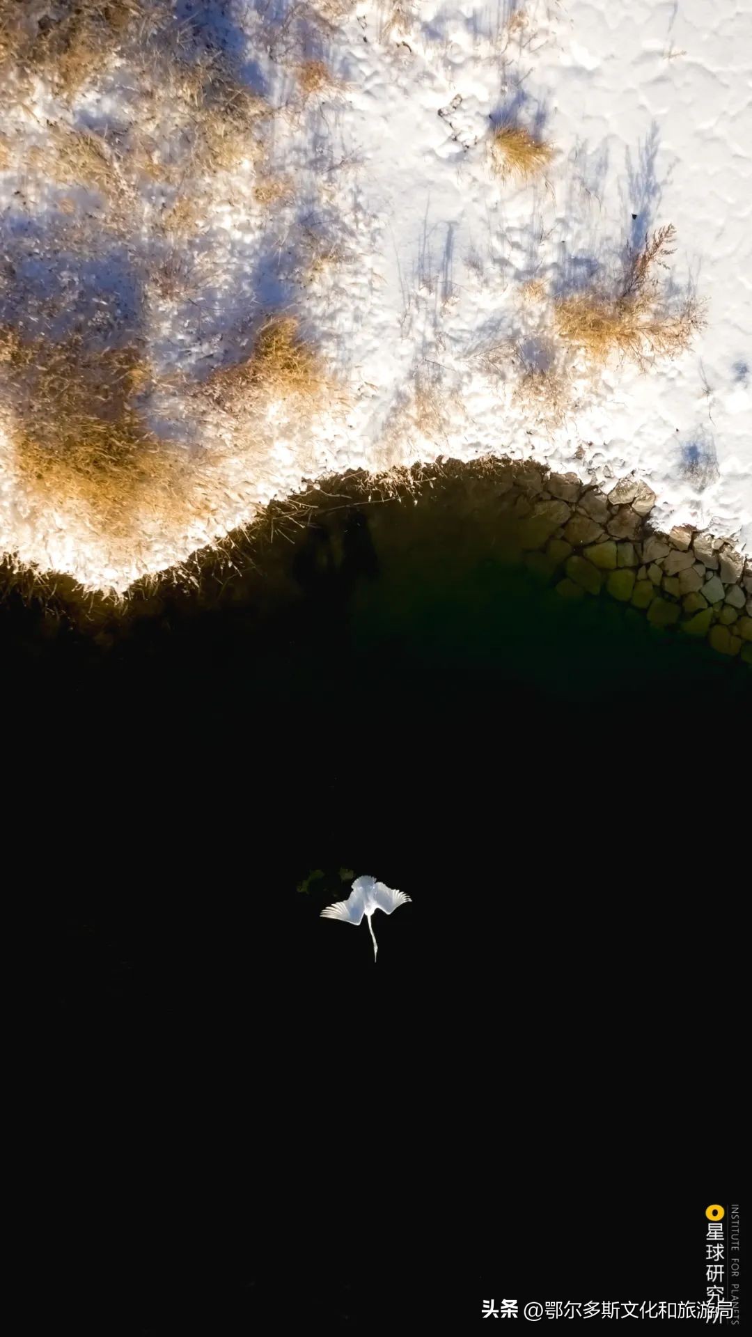 鄂尔多斯的特点,鄂尔多斯现在什么样