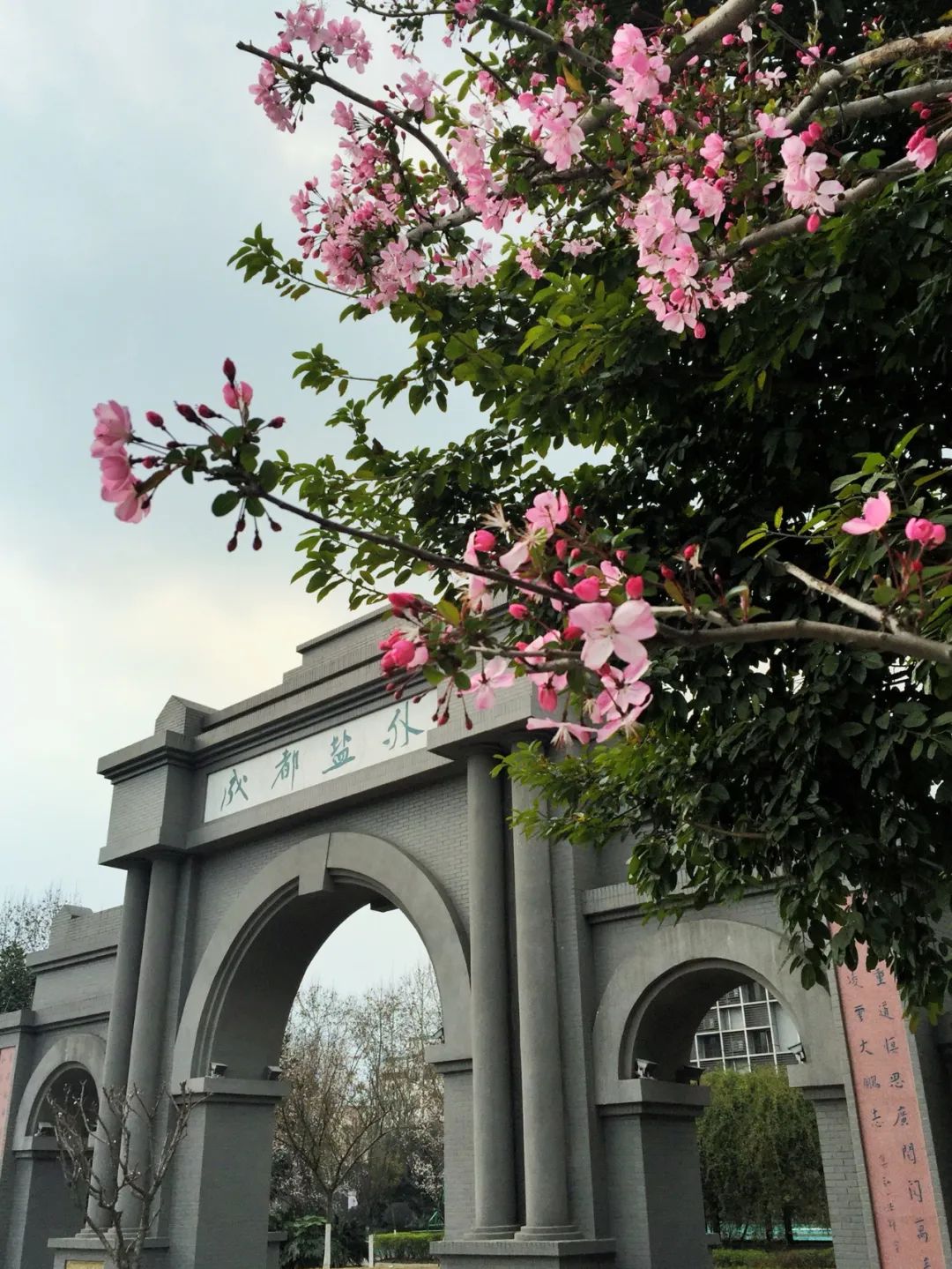 成都盐外私转公还值得读吗,双流盐外转公了吗