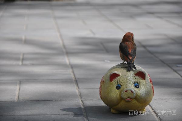 能摆脱恋爱脑的书,摆脱恋爱脑游戏