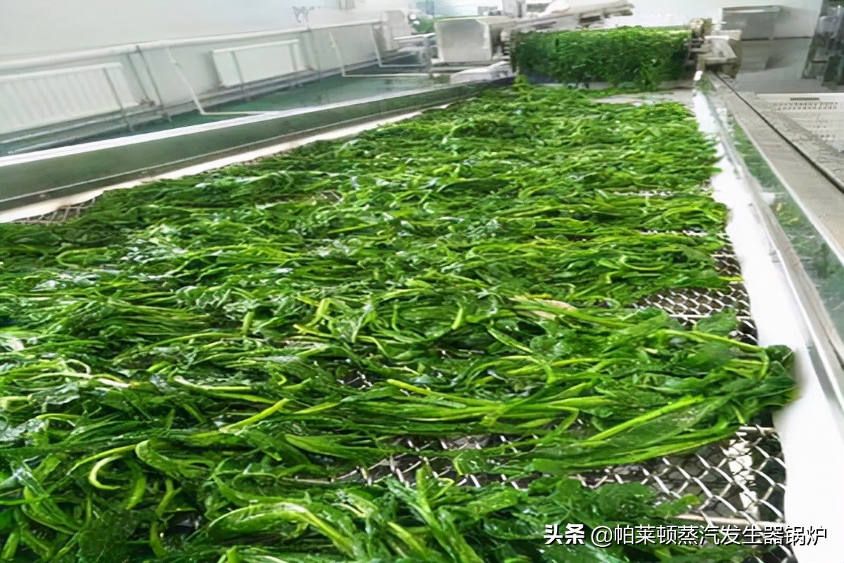 果蔬漂烫机供应,蔬菜漂烫机原理图