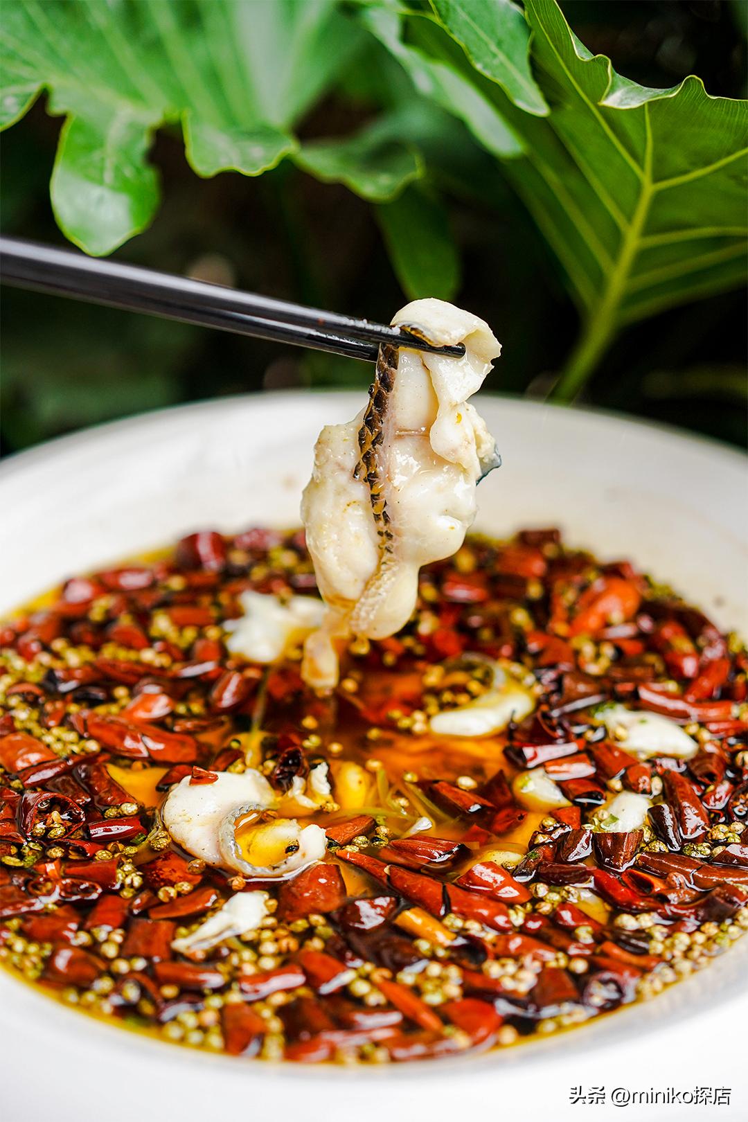 成都最巴适的川菜,好吃又平价的川菜