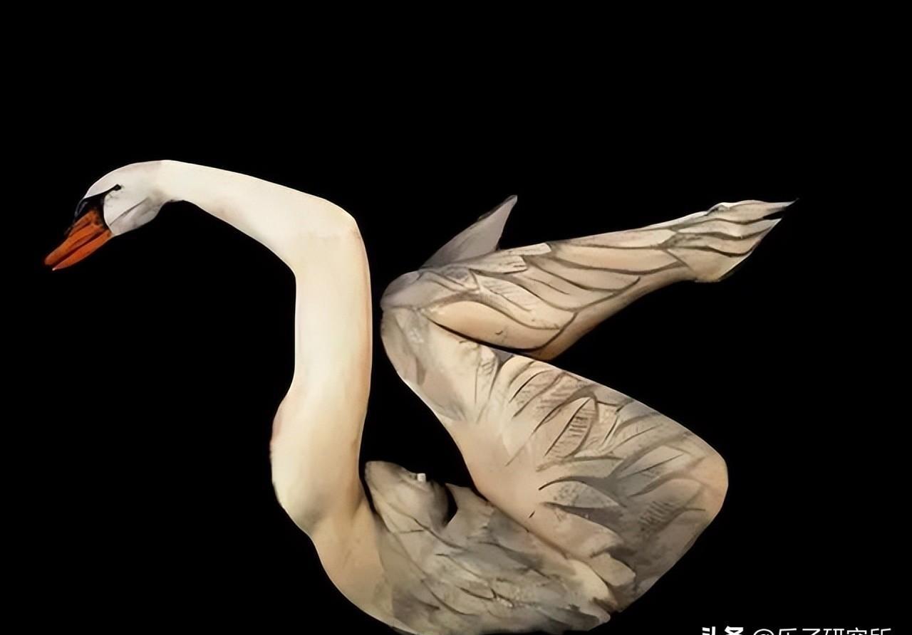 魅力绽放！探索人体艺术的绝美之处