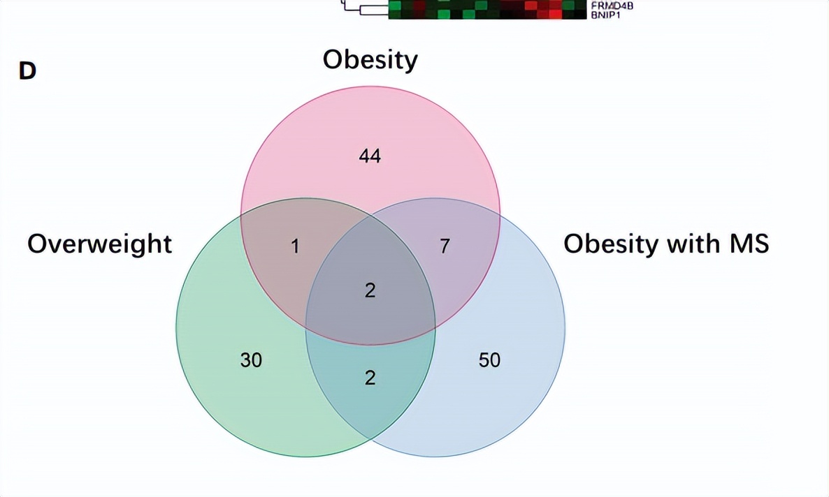 sci论文化繁为简,sci速成手把手教你写