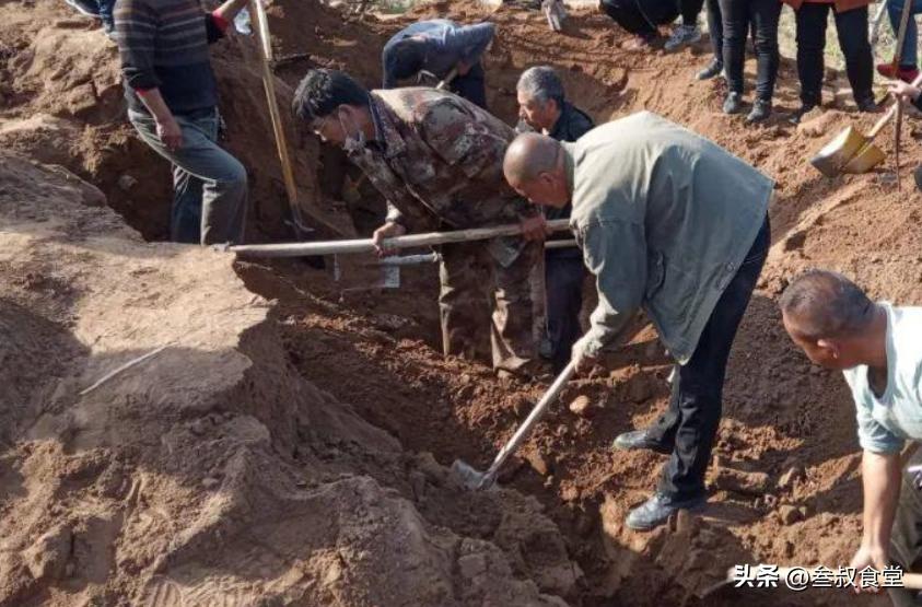 湖北农民挖到2千年前国宝,20岁小伙挖出6万元国宝