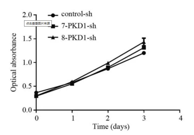 仓鼠会控制体重吗,仓鼠有免疫细胞吗