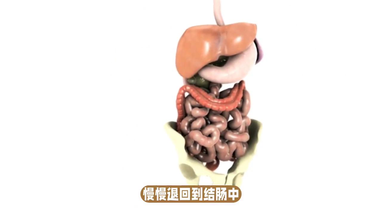 憋屎容易便秘,憋大便憋小便是什么后果