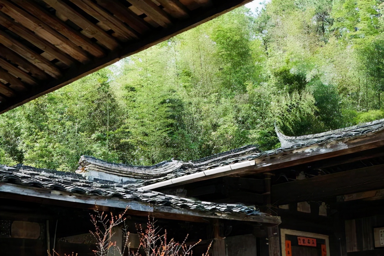 一种境界一种胸怀,独处的唯美境界