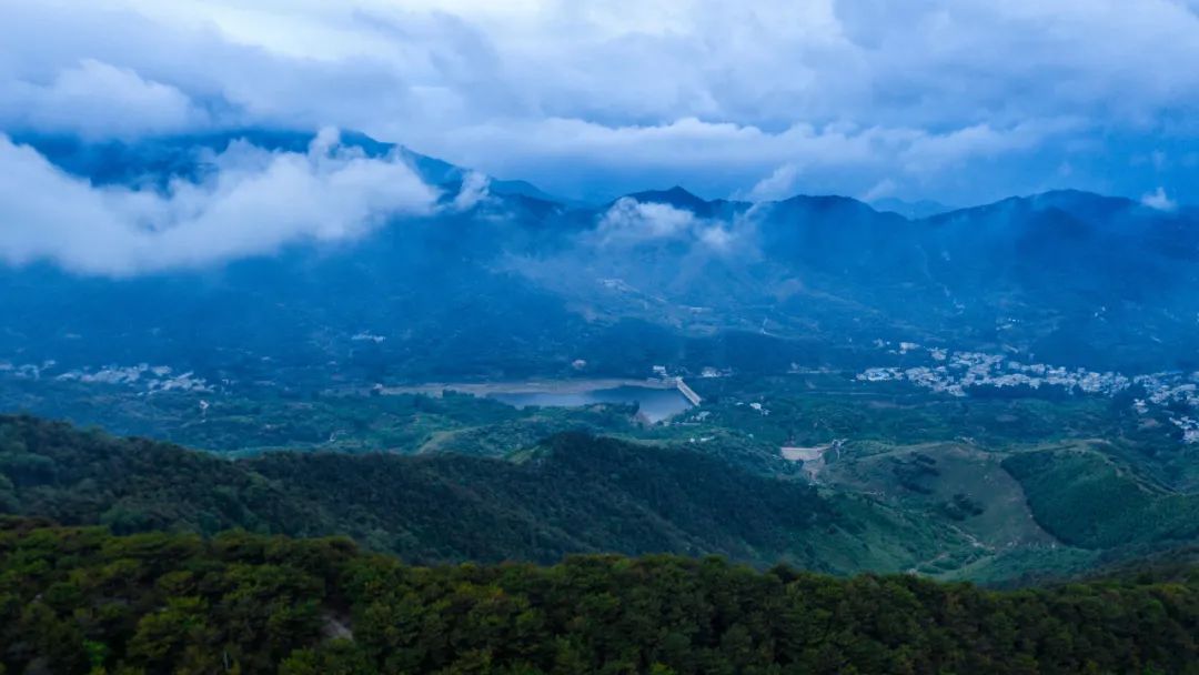 济南夏日森林游玩攻略,藏在济南的夏日度假圣地