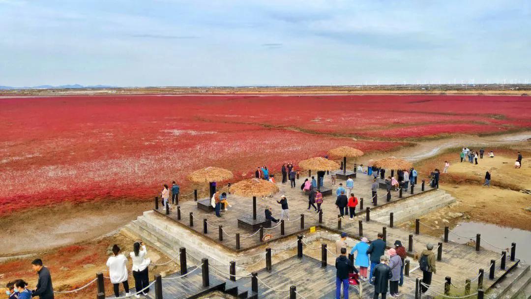 锦州大凌河红海滩,辽宁锦州凌海红海滩
